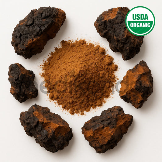 Chaga Mushroom Extract Powder