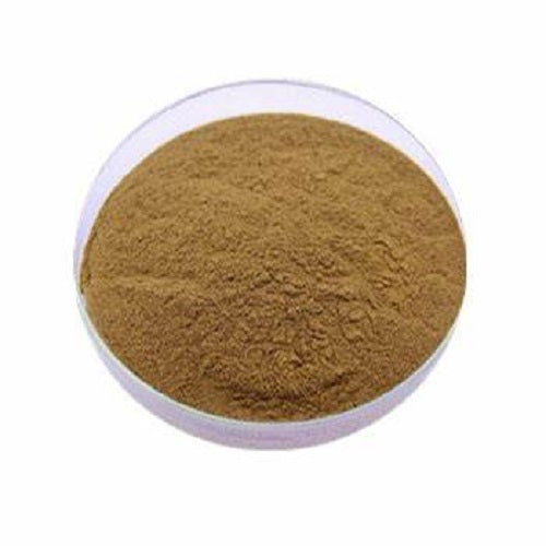 Chanca Piedra Extract Powder