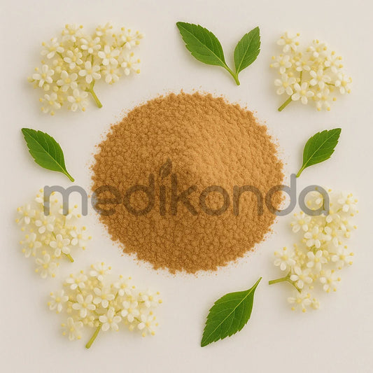 Elderberry Flower Extract Powder