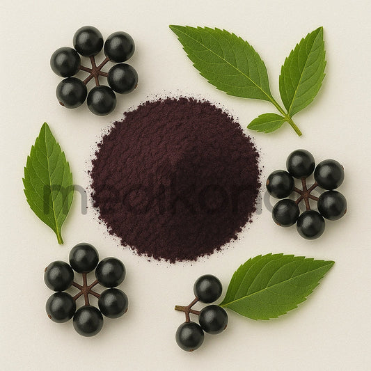 Elderberry Fruit Extract Powder