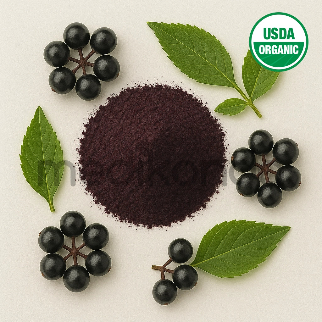Elderberry Fruit Extract Powder