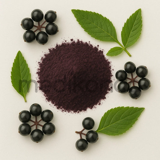 Elderberry Fruit Powder