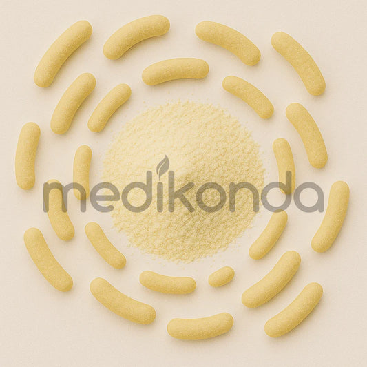 Lactobacillus Fermentum Probiotic Powder