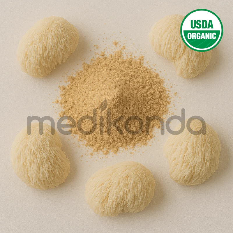 Lion's Mane Extract Powder