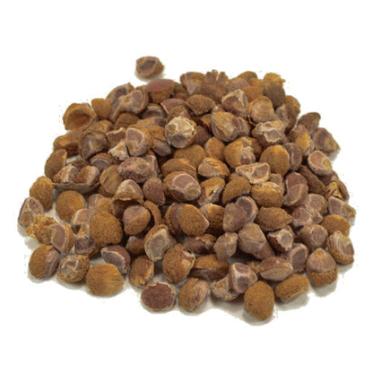 Hawaiian Baby WoodRose Seeds - HBWR | Morning Glory | Argyreia Nervosa | Silberkraut | Elephant Climber