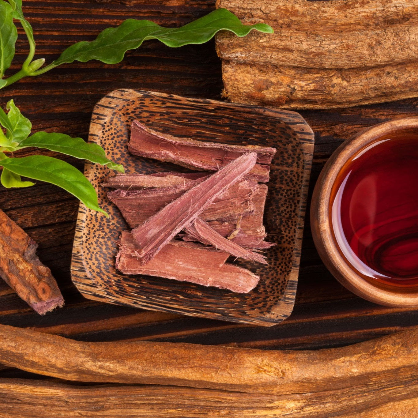 Mimosa Root Bark Powder