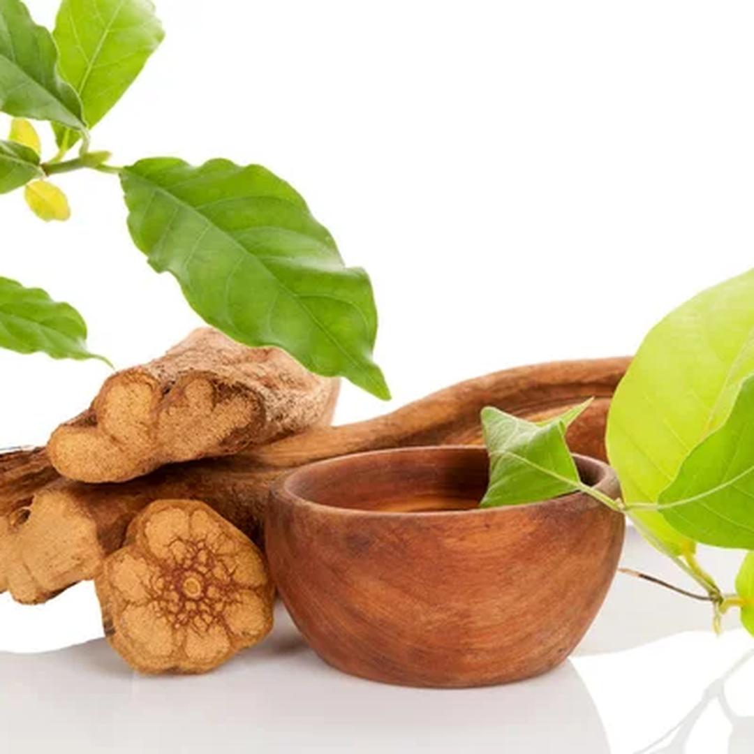 Banisteriopsis Caapi | Vine of the Souls | Ayahuasca Powder