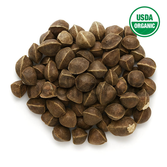 Moringa Seeds Wingless