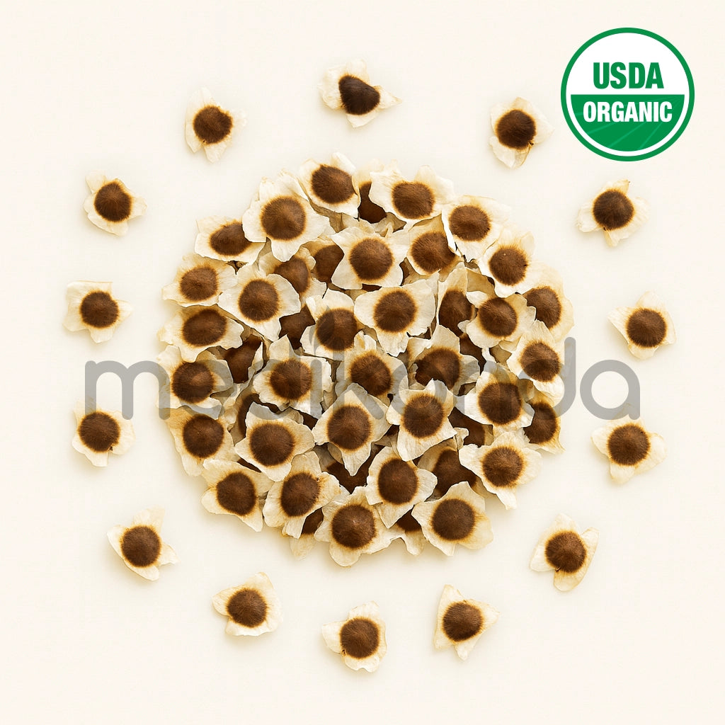 Moringa Seeds with Wings