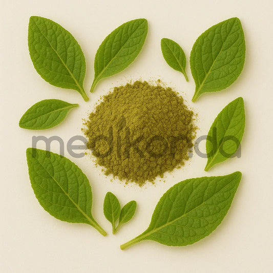 Mullein Leaf Extract Powder