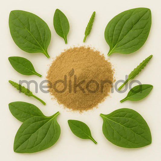 Plantago Major Powder