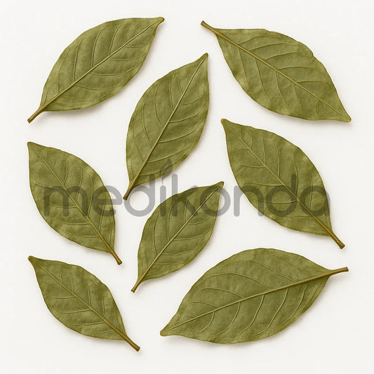 Psychotria Viridis Dried Leaves