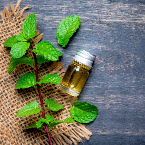 Peppermint Oil