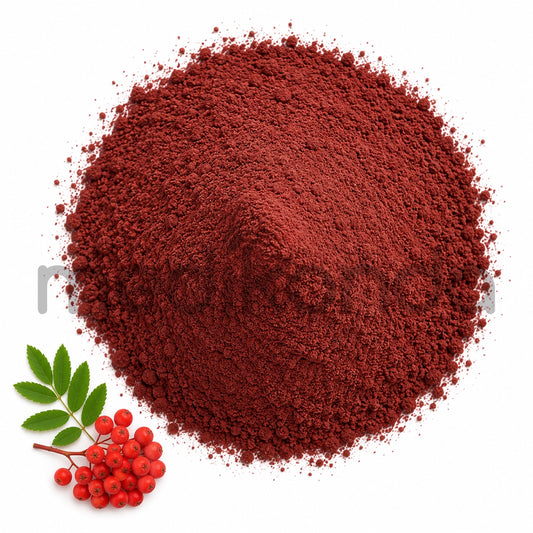 Rowan Berry Extract Powder for bulk supply
