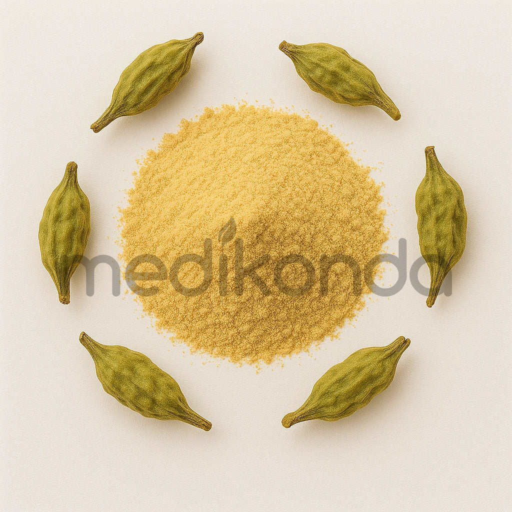 Saphora Japonica Extract Powder