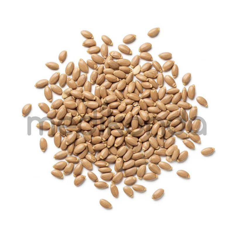 Sesbania Grandiflora Seeds