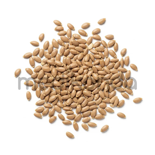 Sesbania Grandiflora Seeds