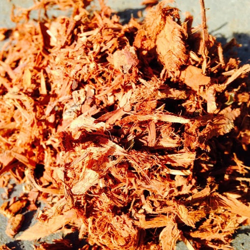 Hawaiian Acacia Confusa Root Bark - Finely Shredded
