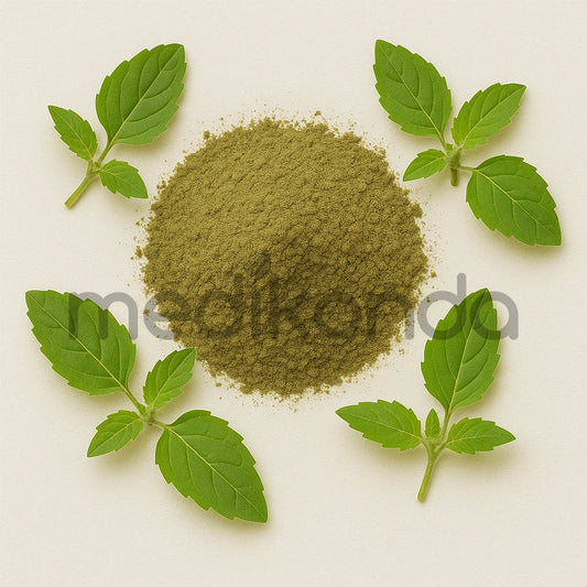 Tulsi Leaf Extract Powder