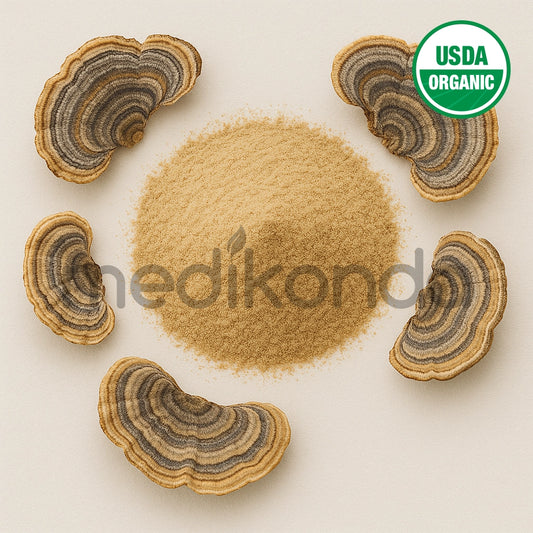 Turkey Tail Mushroom Powder