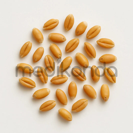 Wheat Seeds