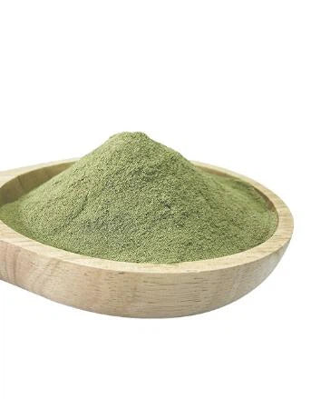 Zucchini Extract Powder