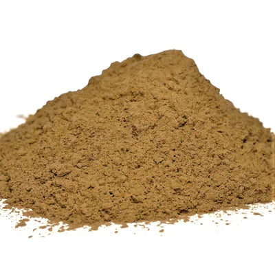 Huperzia Serrata Extract Powder 1% Huperzine-A