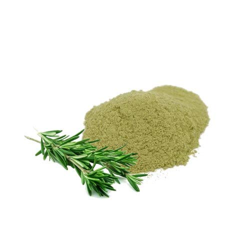 Rosemary Leaf Extract Powder 4:1