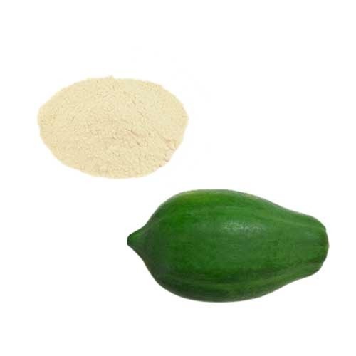 Green Raw Papaya Fruit Powder